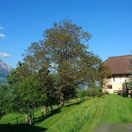 Chalets Alpin Kronhof Kötschach-Mauthen Kültér fotó